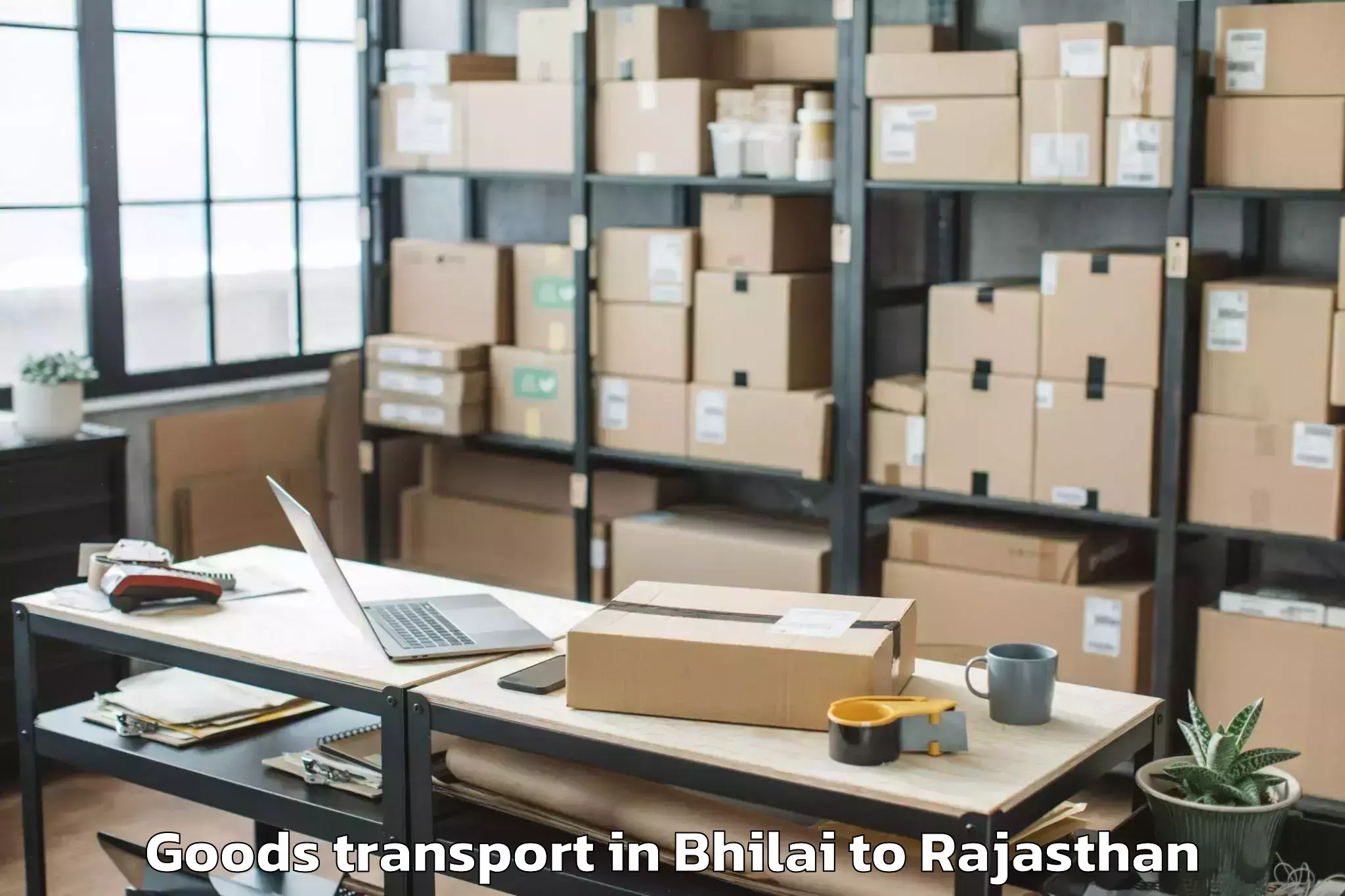 Bhilai to Reengus Goods Transport